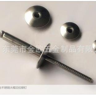 工厂货大头拉铆钉帽304帽304芯全不锈钢大扁头铆现钉ZMJ大白钢铆