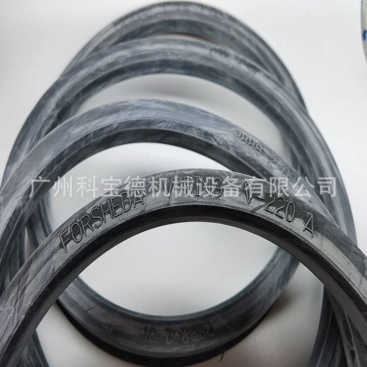 FORSHEDA V-RING V-250A密封圈TWVA02500-N6T50 VAVSVL水封密封件