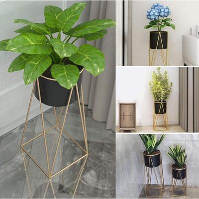 欧室内铁艺爬藤花架客厅阳台简易绿植造型架落地式花盆栽置物架