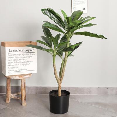 北欧大型家居装饰仿真树盆栽摆设 商场橱窗仿真花假花带叶鸡蛋花