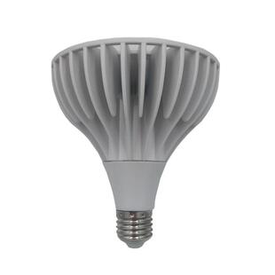 LED COB PAR38射灯20W 25W 30W 35W 40W 压铸铝外壳 商用导轨射灯