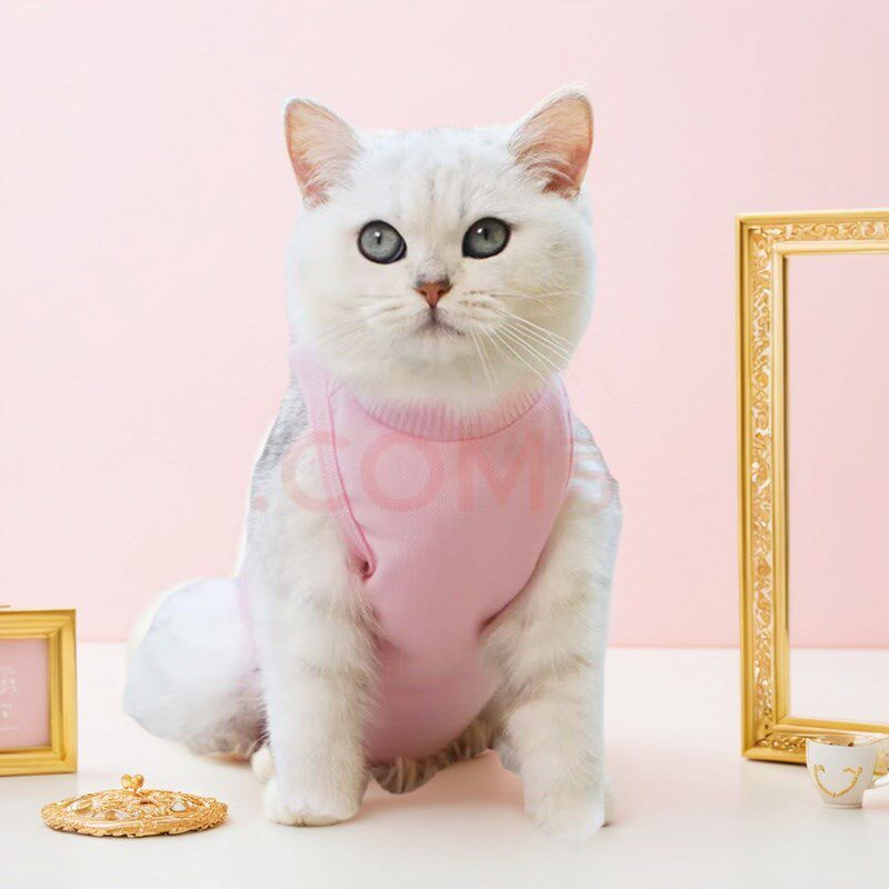 猫咪绝育服母猫手术服.猫咪手术衣防舔防感染.透气弹力大医院专用