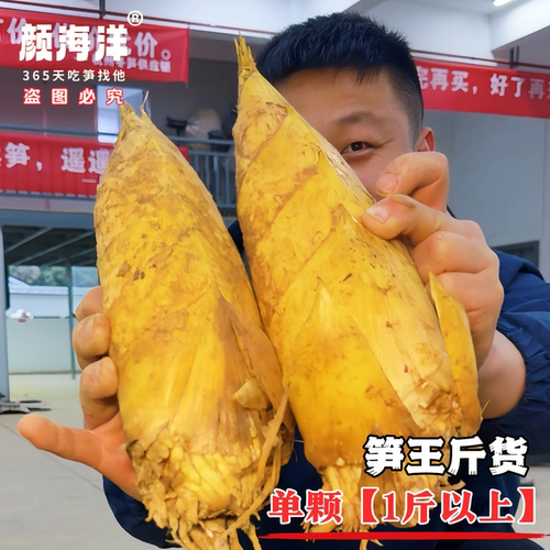 现挖冬笋，肉质鲜嫩，去老根发货