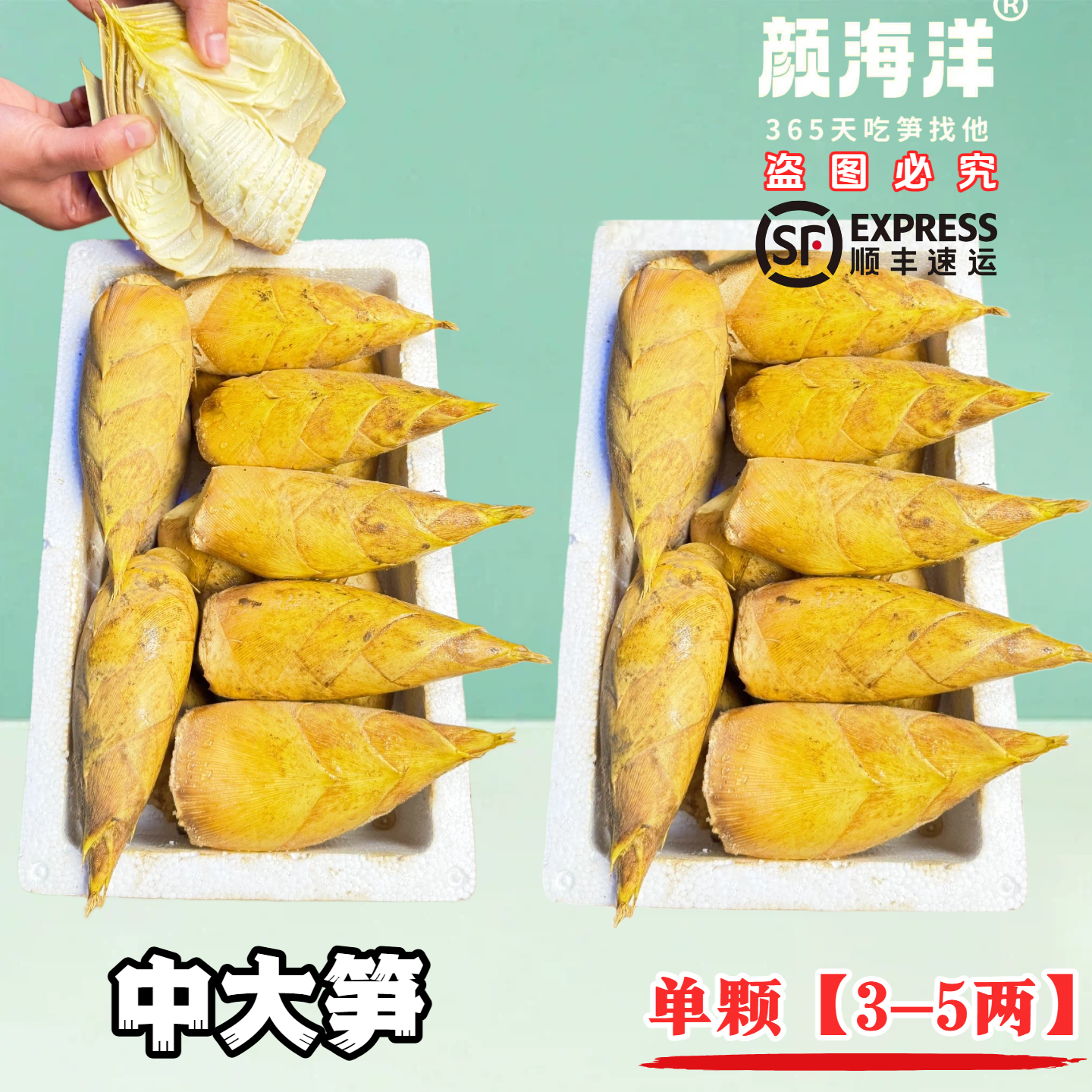 【中大笋】浙江临安发货新鲜冬笋两头尖大毛竹笋鲜笋蔬菜野生冬笋