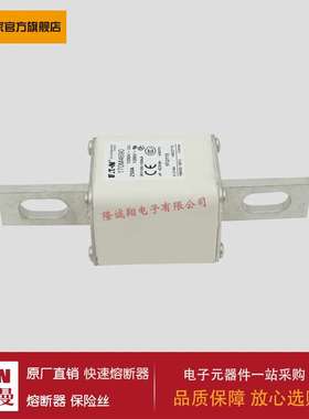 熔断器170M4690 170M4691 170M4692 170M4693 170M4694 170M4695