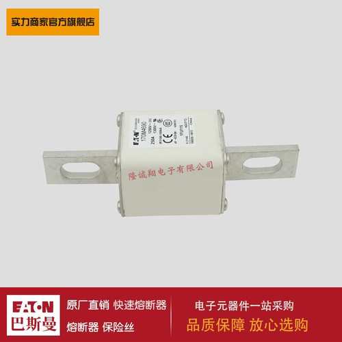 熔断器170M4690 170M4691 170M4692 170M4693 170M4694 170M4695