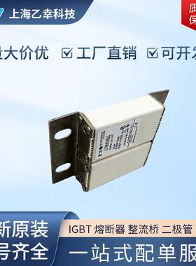 巴斯曼熔断器 170M1860 170M1861 170M1862 170M1863 170M1864