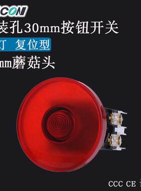 现货Kacon凯昆K30-27-N65带灯头部65mm 复位 蘑菇头 按钮开关