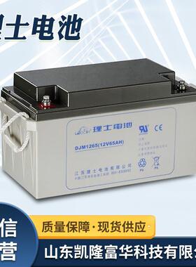 DJM1255铅酸免维护电池理士12v55ah直流屏配电柜机房用理士蓄电池