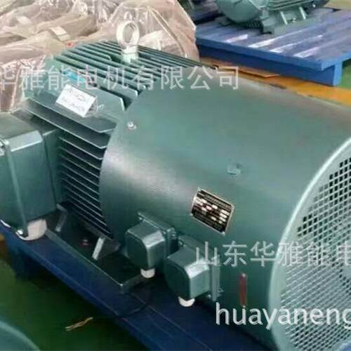 YE4-100L2-4-3电机G高原型YE4电机特制加长轴，法兰专用，带衬套
