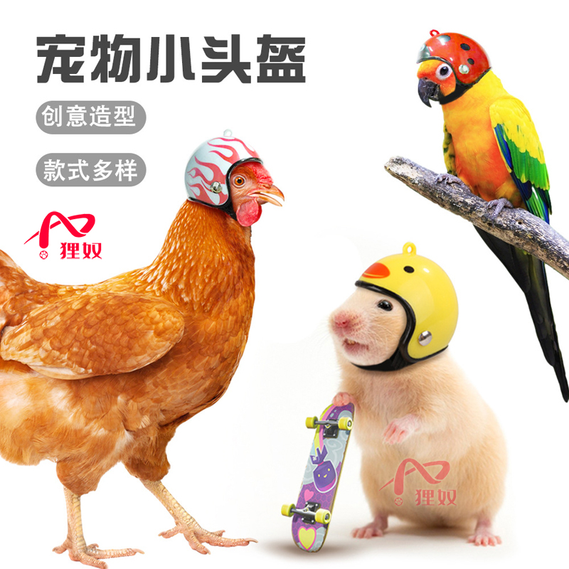 狸奴小宠防打架头盔鹦鹉鸟小鸡防啄保护头套鸽子蜜袋鼠宠物安全帽