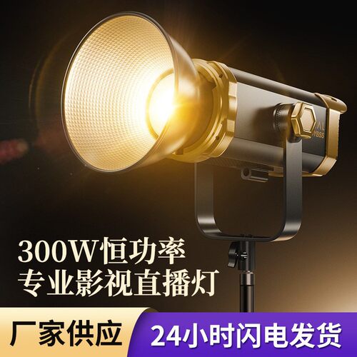 300W直播补光灯摄影灯直播间搭建深抛格栅球形常亮灯高亮度太阳灯
