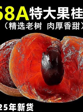 【68A特大桂圆干】福建特产大桂圆干龙眼干果核小肉厚桂圆干货