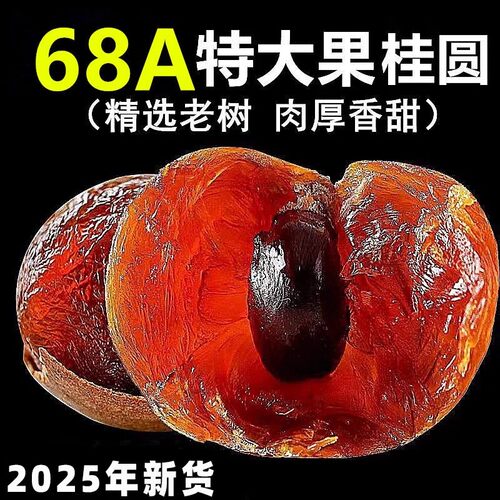 特大福建特产龙眼干果核小肉厚