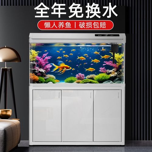 中小型鱼缸大型客l厅家用带柜落地玻璃水族箱生态免换水新款金鱼