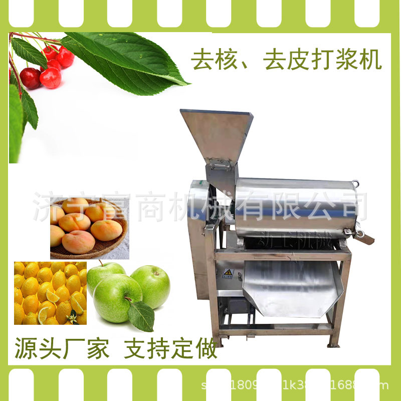 厂家定制工业大型果蔬打浆机 不锈钢南瓜去籽机 芒果去核打浆机