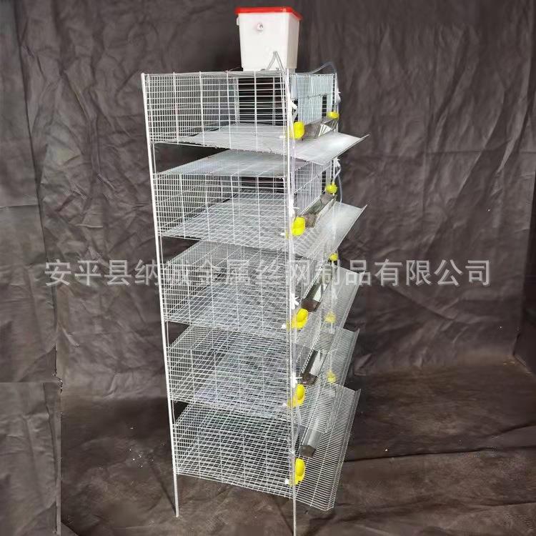 养殖加高鹌鹑鹧鸪笼子立体式鹧鸪自动清粪镀锌笼自动接蛋笼