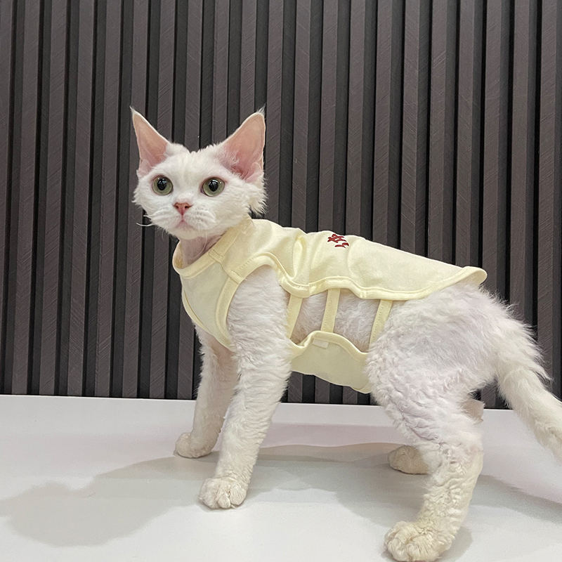 夏季肚兜背心印花任发财无B毛猫衣服斯芬克斯猫德文衣服