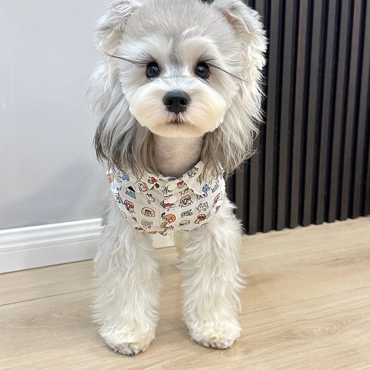 狗狗宠物衣服h小型犬夏季雪纳瑞泰迪比熊博美薄款衬衫狗狗无袖衣