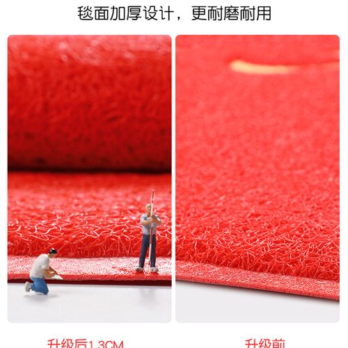 入户门地垫进门h门口玄关脚垫门外丝圈耐脏地毯进户门出入平安门