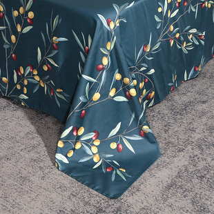 60s支b全棉贡缎裸睡床单 单件100纯棉印花1.2/1.5米1.8m床双人被