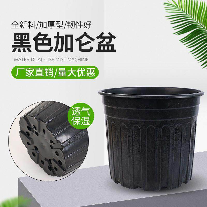 侧棱加仑盆二代加厚塑料黑色花盆阳台月季玫瑰绿萝吊兰盆育苗耐用