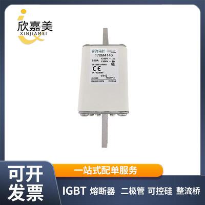 170M4146 170M4194 快速熔断器 电子元器件 库存充足 量大价优