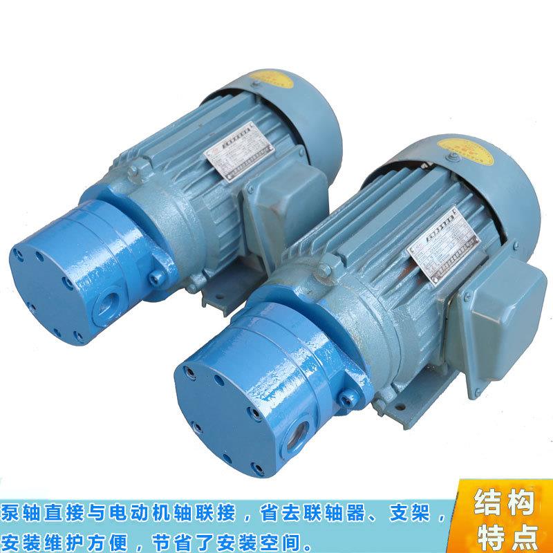 NBB-B4 6 10-DJZ内轴式摆线齿轮油泵电机装置直插式电机组