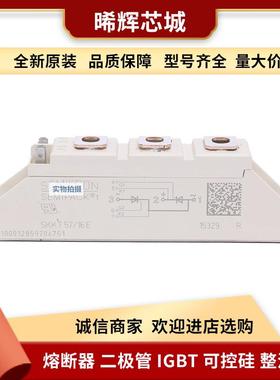 SKKT210/22EH4 SKKT213/08E 型号齐全 标准封装可控硅整流器