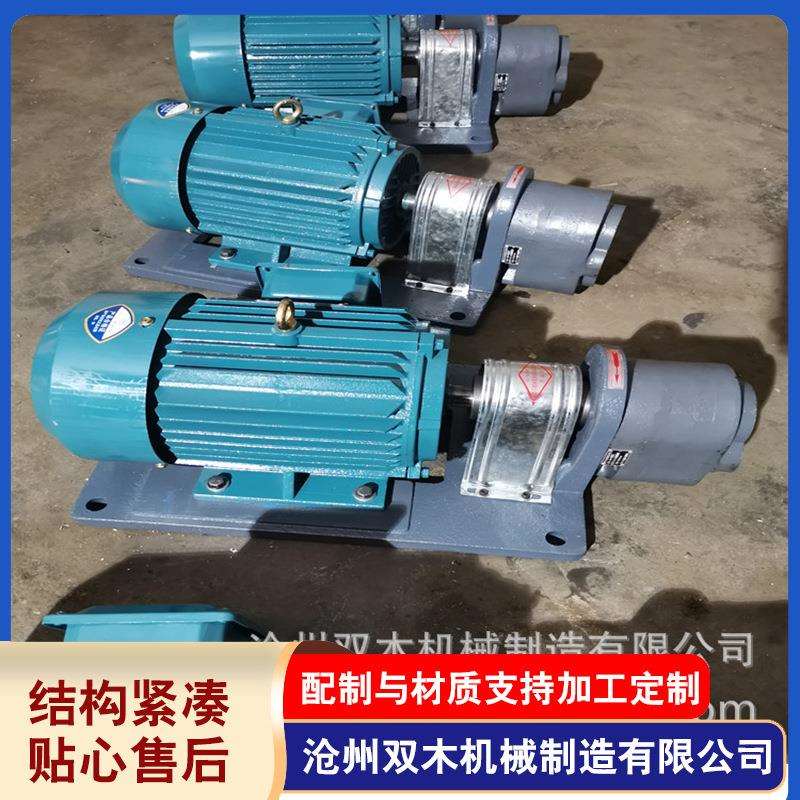 油泵电机装置WBZ-100电机组齿轮泵整机润滑泵整体装置
