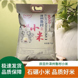 山西晋城特产25年鲁村小米10斤袋装泽州黄小米石碾农家熬粥月子