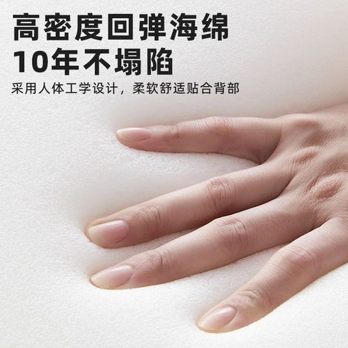 适用极核EZ3i/AE4/SE/AE4i/pro/AGE5i/pro电动车铝合金后靠背靠垫