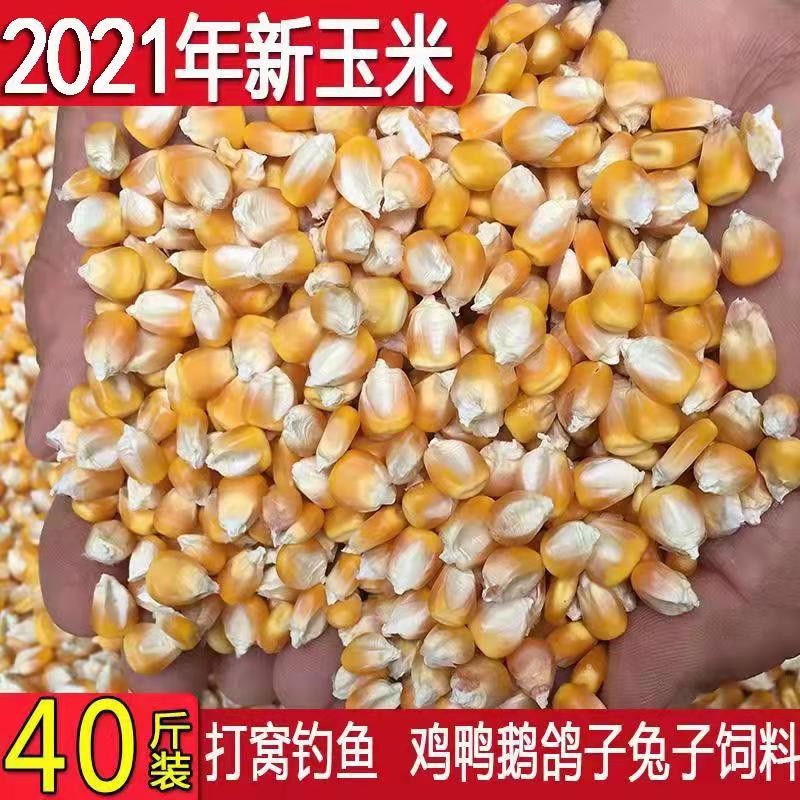 干玉米粒喂鸡鸭鹅鸟鸽子食饲料酿酒打窝钓鱼饵大物农W家宠物苞米