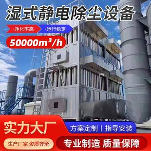 汕头湿式静电除尘设备除尘浓烟处理器工业污染湿式除尘处理设备