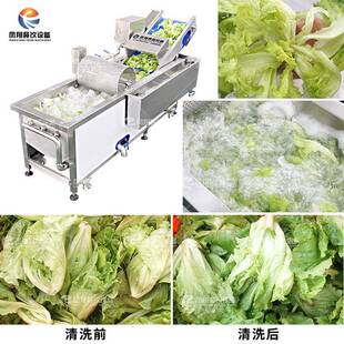 工厂直销WA-1000果蔬气泡清洗机生菜清洗去农残去虫卵洗菜机