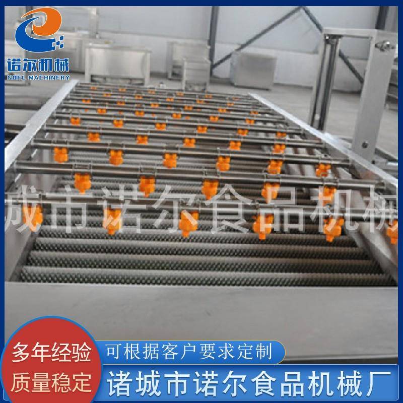 西生菜清洗机设备全自动果蔬清洗机芝麻叶清洗机设备可定制