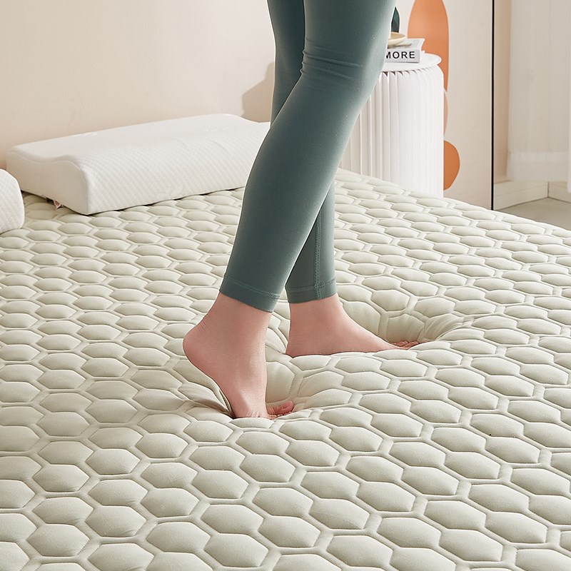 乳胶床垫软垫家用卧室学生宿舍单人记忆棉垫子厚T褥子床褥垫海绵