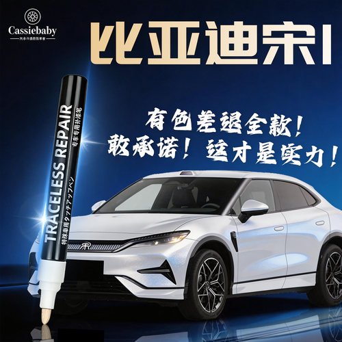 宋ldmi专用，4S店指定补漆笔