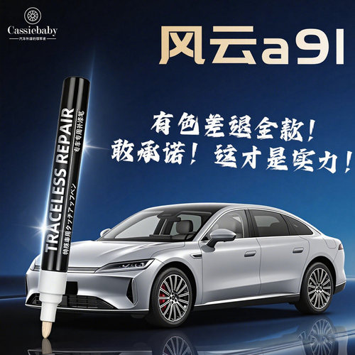 【奇瑞风云A9L】4S店指定补漆笔
