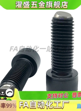 ZC108-1内六角球头柱塞波珠BPRL4-M8/4/5/6/10/15/20/25/30/35/40