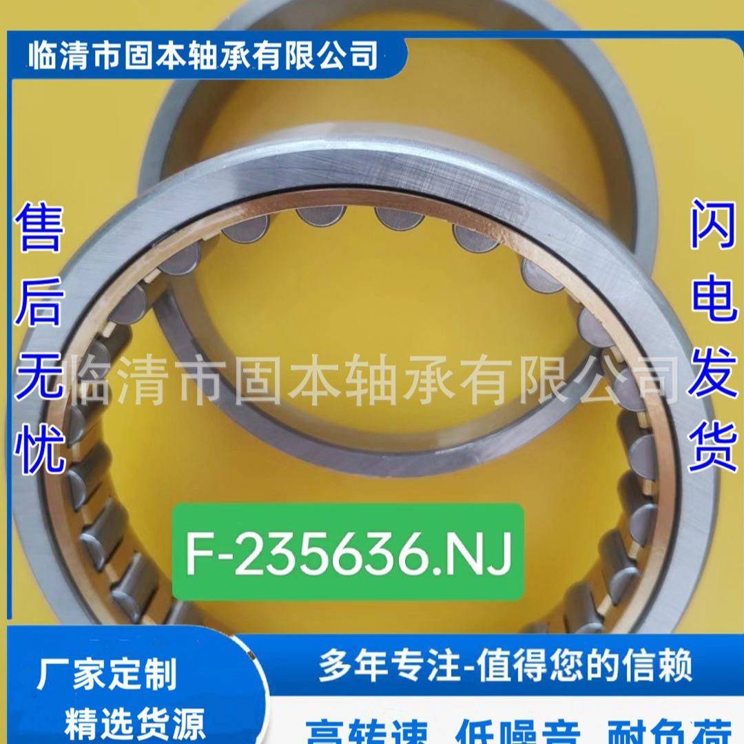 308523A66616B33110/P5ZOJ53306非标轴-承
