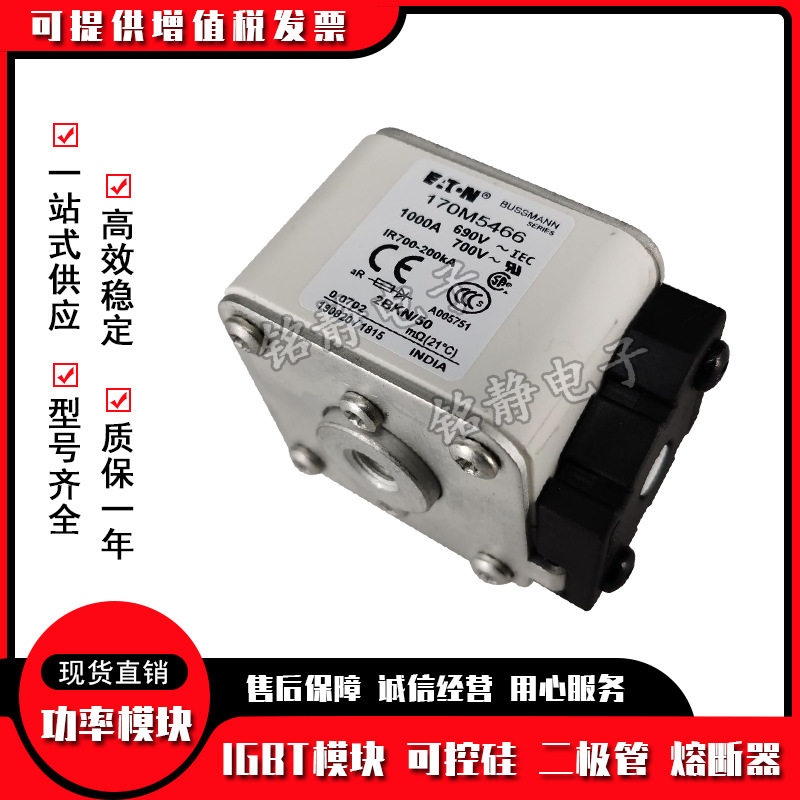 巴斯曼熔断器170M5465-170M5468