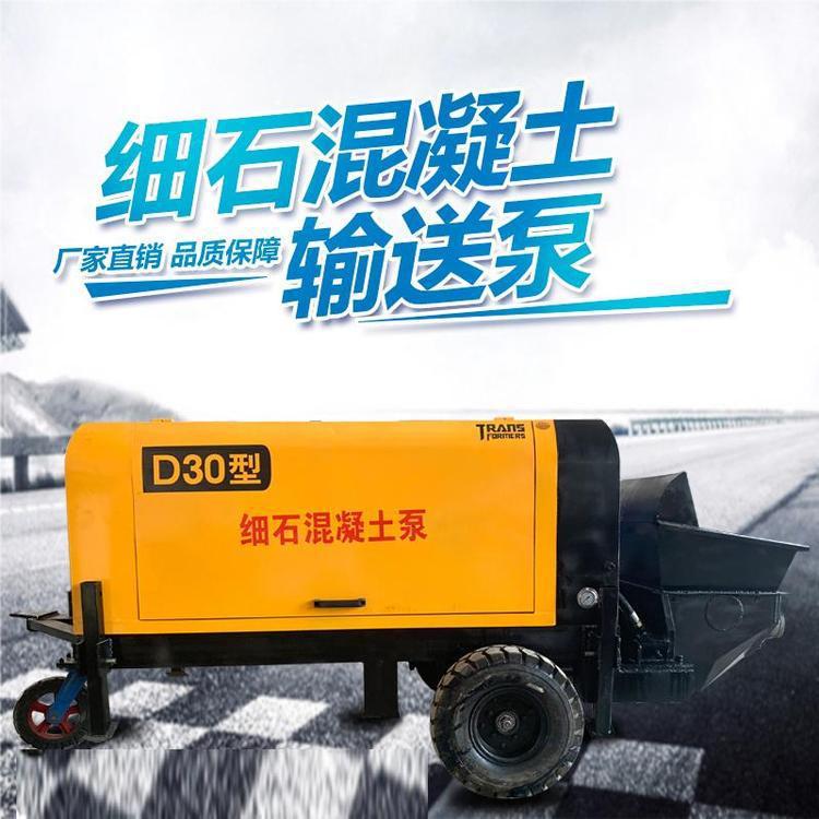 晟德小型二次构造柱输送泵