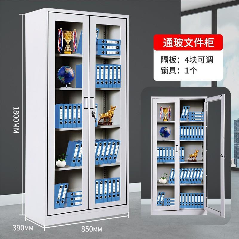 重庆文件柜铁皮柜办公室WJG-01制档储物柜资料柜案柜带锁五钢节凭