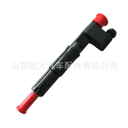 喷油器总成 C26AB-26AB701  PB96P315T  用于上柴C6121