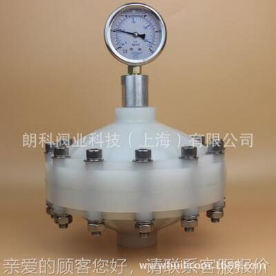 四氟塑料脉内动P阻尼器四氟DF脉冲膜片式阻尼器930 衬氟阻尼器V螺