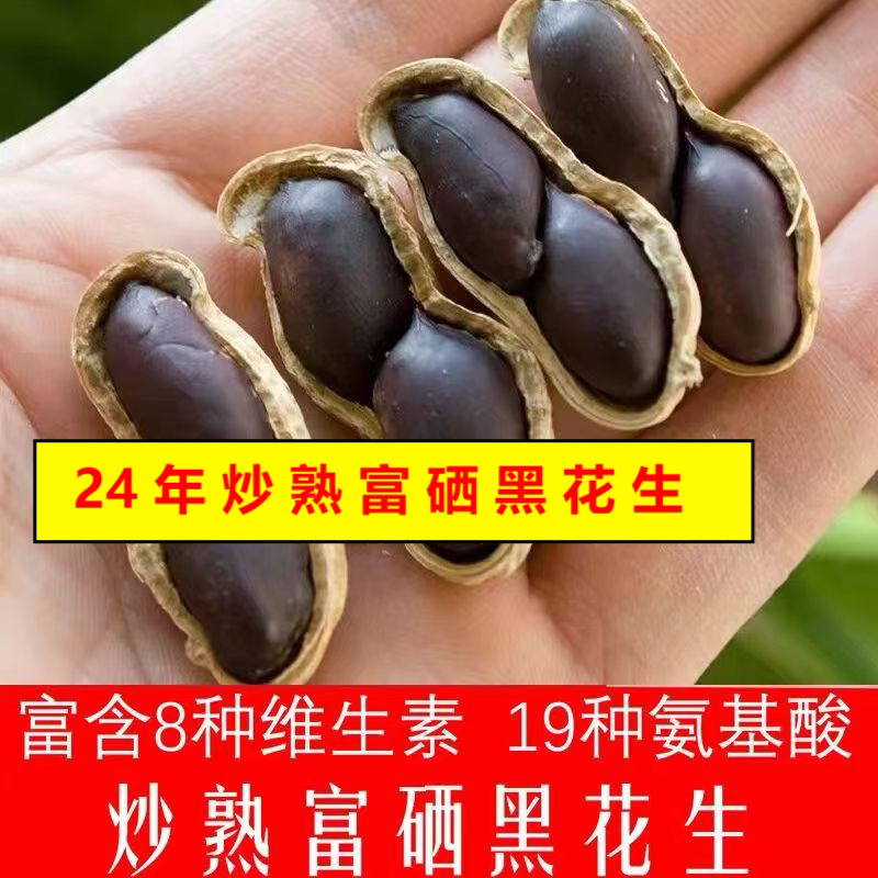 新鲜原味大粒黑花生带壳炒熟紫皮花生五斤装多规格黑子花生办公室