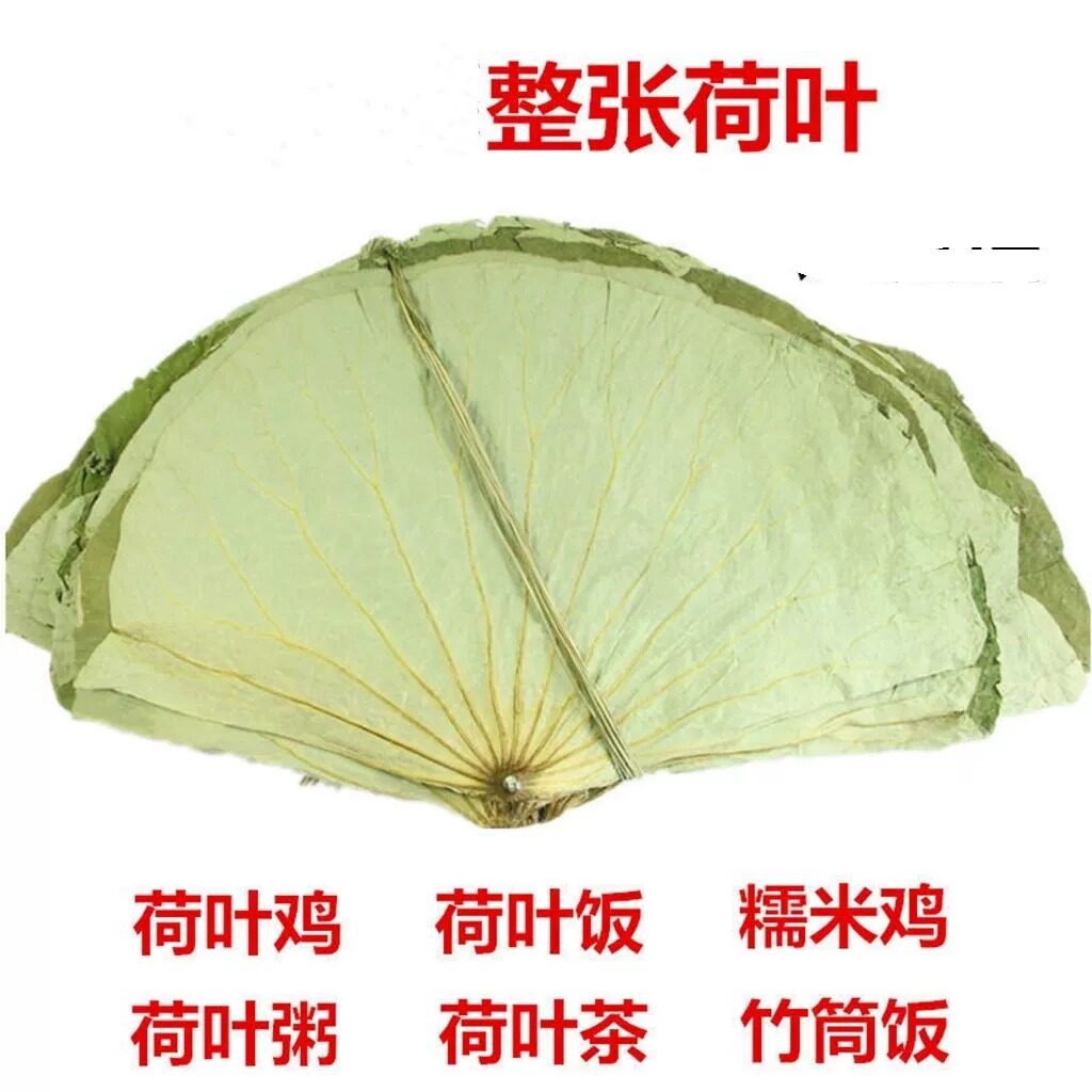 新鲜特产级精选干荷叶商用整张圆形荷叶糯米鸡茶包饭大张叫花鸡