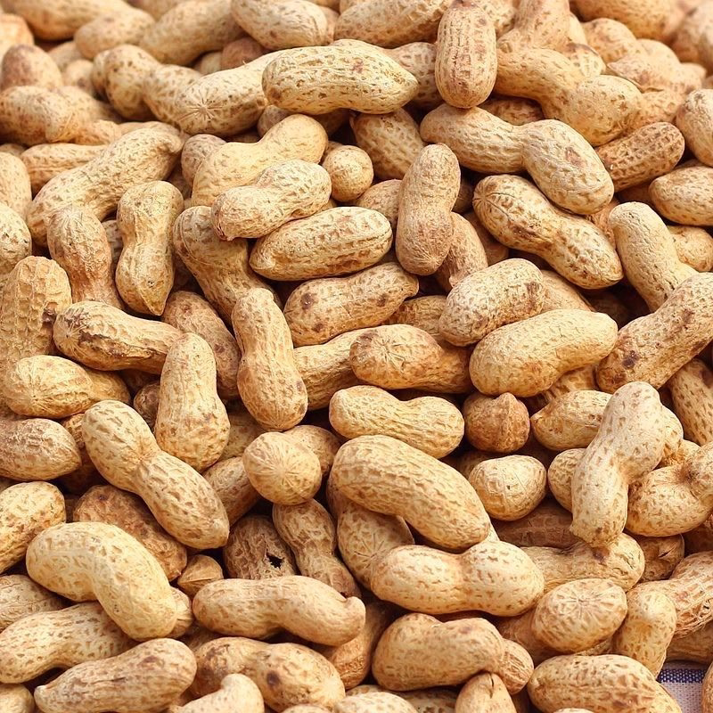 新花生现炒原味花生炒熟带壳花生农家铁锅沙土大花生散装批发