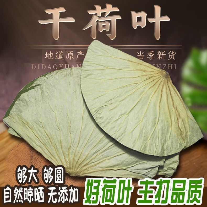 干荷叶整张正宗微山湖荷叶大张糯米鸡叫花鸡专用纸荷叶鸡批发商用